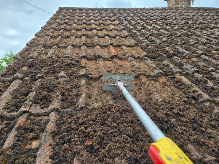 Moss scraping tool being used on heavily moss-covered roof tiles in Northern Ireland