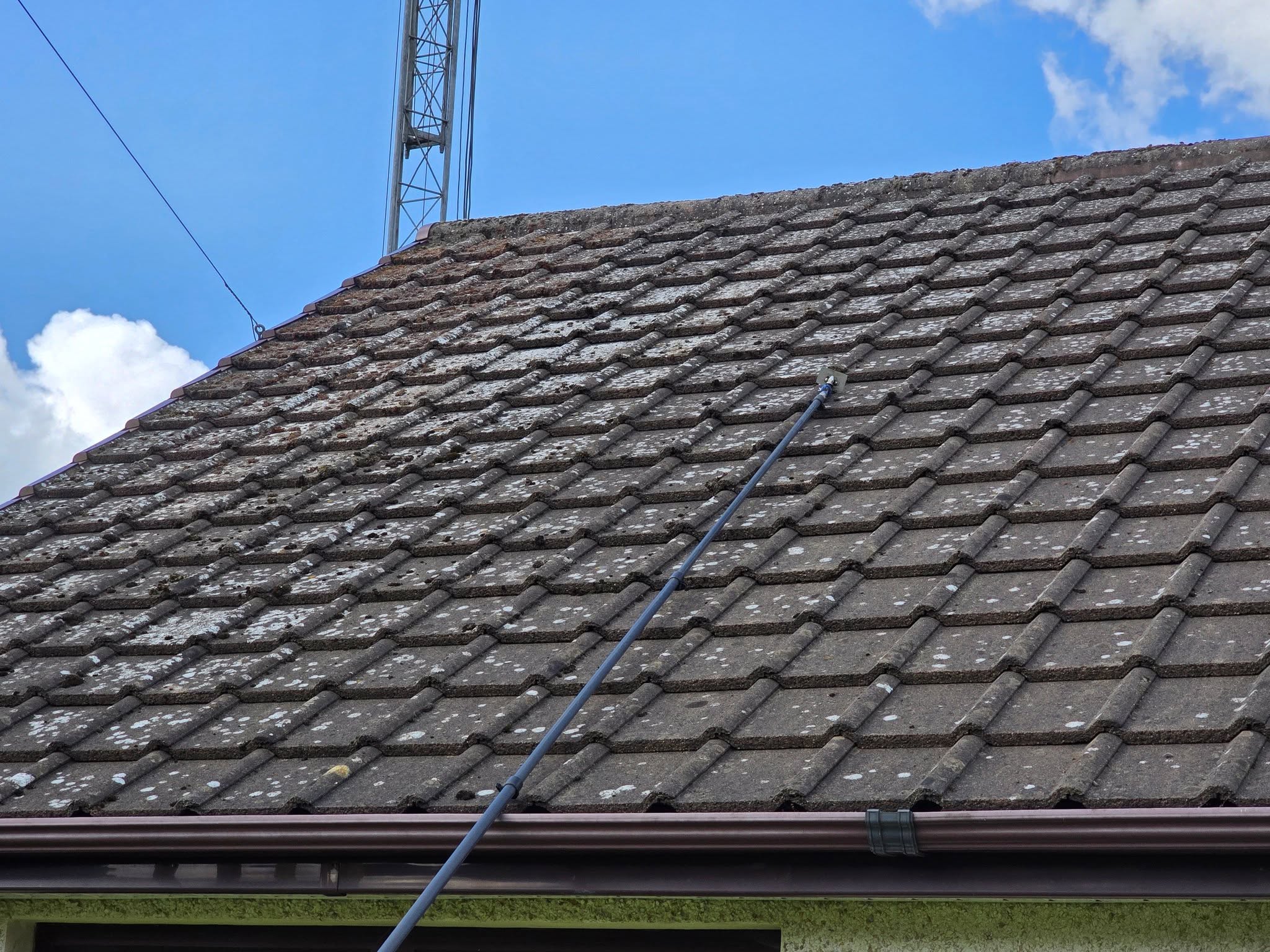 Professional cleaning pole reaching across roof tiles with lichen spots