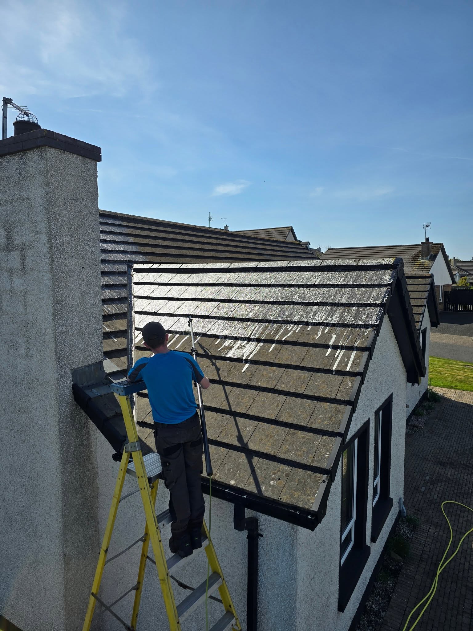 Technician on ladder performing roof cleaning on residential home in Newtownabbey